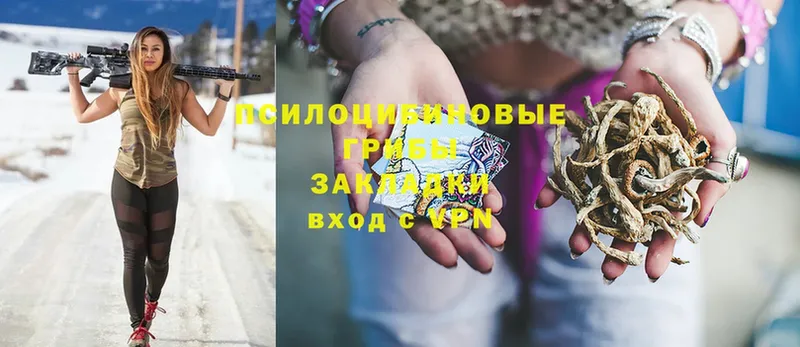 Псилоцибиновые грибы Magic Shrooms  Пермь 